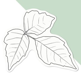 Medium 100mm 'Poison Ivy' Permanent Sticker Decal for Cars/Windows/Bins/Walls etc (DW00112645)