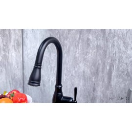 RELIAFLO Pull Down Kitchen Faucet in Matte Black - D11018-49