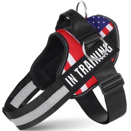 JUSTYEZI Essential Dog Harness with 3 Leash Clips - No-Pull, Adjustable, Comfortable Pet Vest Harness for Small to Large Dogs - Easy On, No Choke, Reflective, Padded Harness for Walking and Training