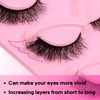 Veleasha Cat Eye Eyelashes Natural Look Eyelashes Fluffy Eyelashes C