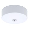 Ceiling Rose White