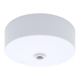Ceiling Rose White