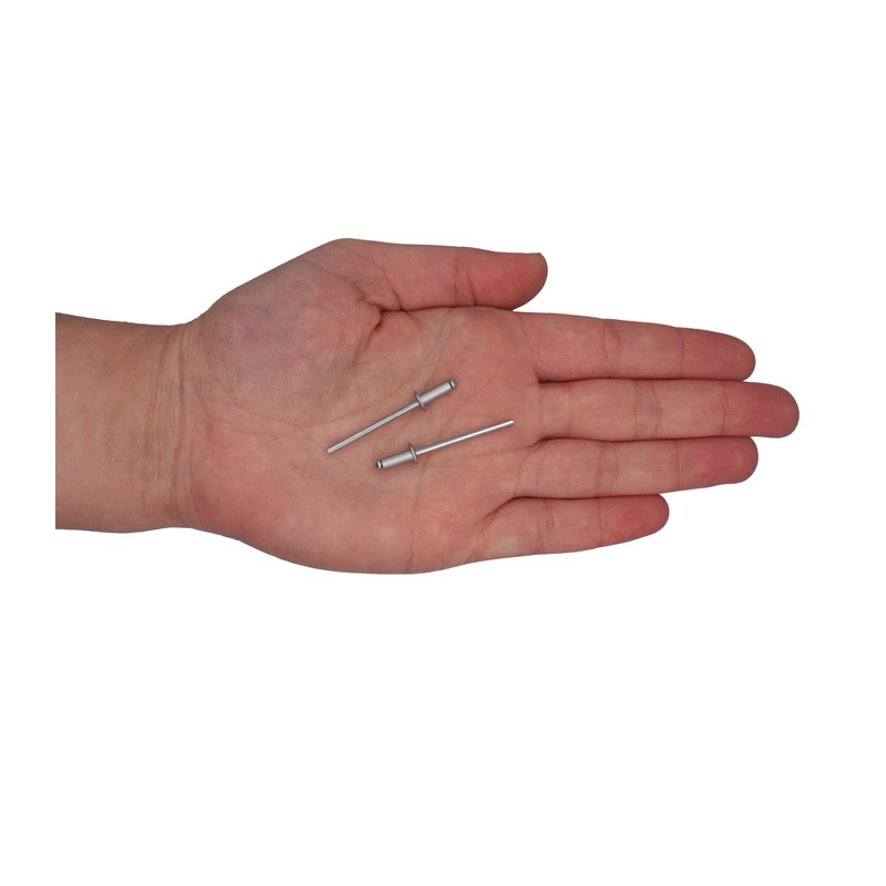 SKIR'CO Pack of 500 Painted Blind Rivets 3.2 x 8