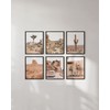 HAUS AND HUES Desert Succulent Wall Art Prints, Set of