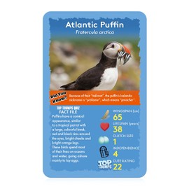Top Trumps Birds of The World Classics Card Game Discover some interesting facts in this educational game including the Blue Jay's wingspan, for 2 players and more