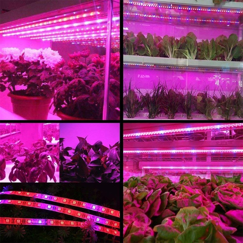 LED Plant Growth Light String 5050 SMD LED Light Waterproof