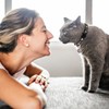 2Pcs Breakaway Cats Collars Cat Collars for Boy & Girl