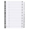 Exacompta - Ref MWD1-20Z - Mylar Printed Indices - For