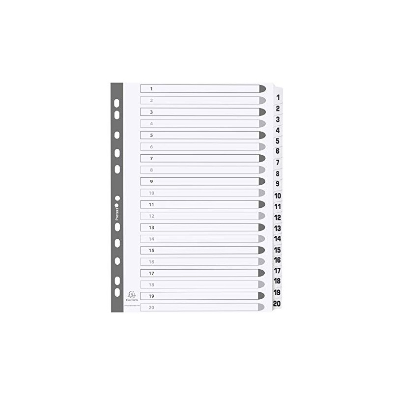 Exacompta - Ref MWD1-20Z - Mylar Printed Indices - For