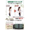 Liscia Lower Back Pain Belt, Pelvic Belt, Back Pain, Corset,