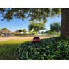 Lulu Decor, Red Stainless Steel Gazing Mirror Ball Size 12,