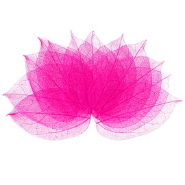 M METERXITY 100-Pack Skeleton Leaves, Natural Rubber Tree Dried Pressed Leaves Vein for Resin/DIY Crafts Card/Scrapbook/Wedding, Small Leaves Decorative [8-9cm, Rose Red]