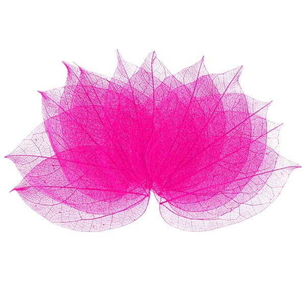 M METERXITY 100-Pack Skeleton Leaves, Natural Rubber Tree Dried Pressed