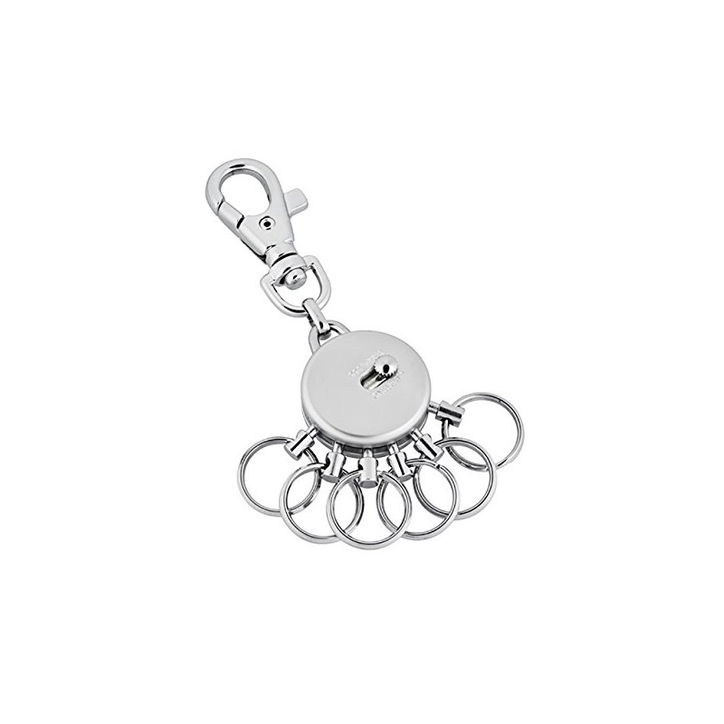Jadani Metal Keyring with Carabiner Hook 6 Removable Rings, silver