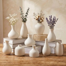 Juego de 10 jarrones de cerámica blanca, pequeños jarrones para hierba de las pampas, flores, mini jarrones para decoración moderna del hogar, decoración minimalista, para sala de estar