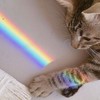Adwikoso Crystal Optical Glass Triangular Photography Prism Teaching Prism Rainbow