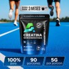 AMARTE LABS | Creatina Monohidratada Micronizada En Polvo 450g 90