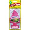 LITTLE TREES Car Air Freshener | Hanging Paper Tree for