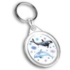 Destination Vinyl ltd 1 x Round Photo Keyring Watercolour Whales & Dolphins Pattern |Keychain|Keyring|Charm| #170919
