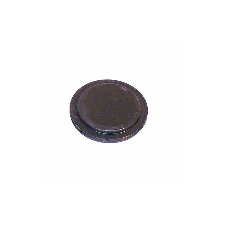 Irs Drive Flange Plug, fits Type 1 68-79 IRS Transmissions,