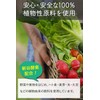 Shintani Enzyme Supplement Enzyme Premium Bio 170g Aspergillus oryzae Domestic