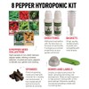 Hydroponic Indoor Pepper Growing Kit – Indoor Pepper Variety Pack