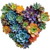 Heart Succulent Wooden Puzzles for Adults, 200 Piece Unique Shaped