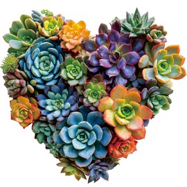 Heart Succulent Wooden Puzzles for Adults, 200 Piece Unique Shaped Wood Jigsaw Puzzles for Adults and Kids, Fun Challenging Puzzles Family Game Gift, Medium 11.7'' x 11.2''