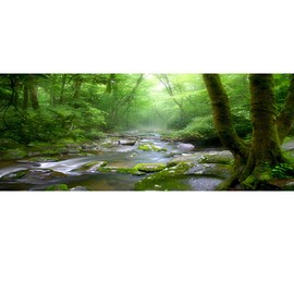 OERJU 36x14 inches Rainforest Terrarium Background Deep Forest Tank Aquarium Background Sunny Stream Stones Trees Grass Tropical Plants Reptile Habitat Background Durable Polyester Background