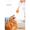 Best Training Dog Toy for Aggressive chewers Medium and Large
