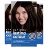 Clairol Lasting Colour Permanent Hair Dye | Perfect Grey Coverage