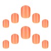 Elegant Touch Core Colour Apricot Crush