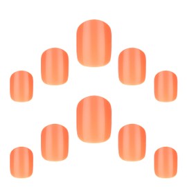 Elegant Touch Core Colour Apricot Crush