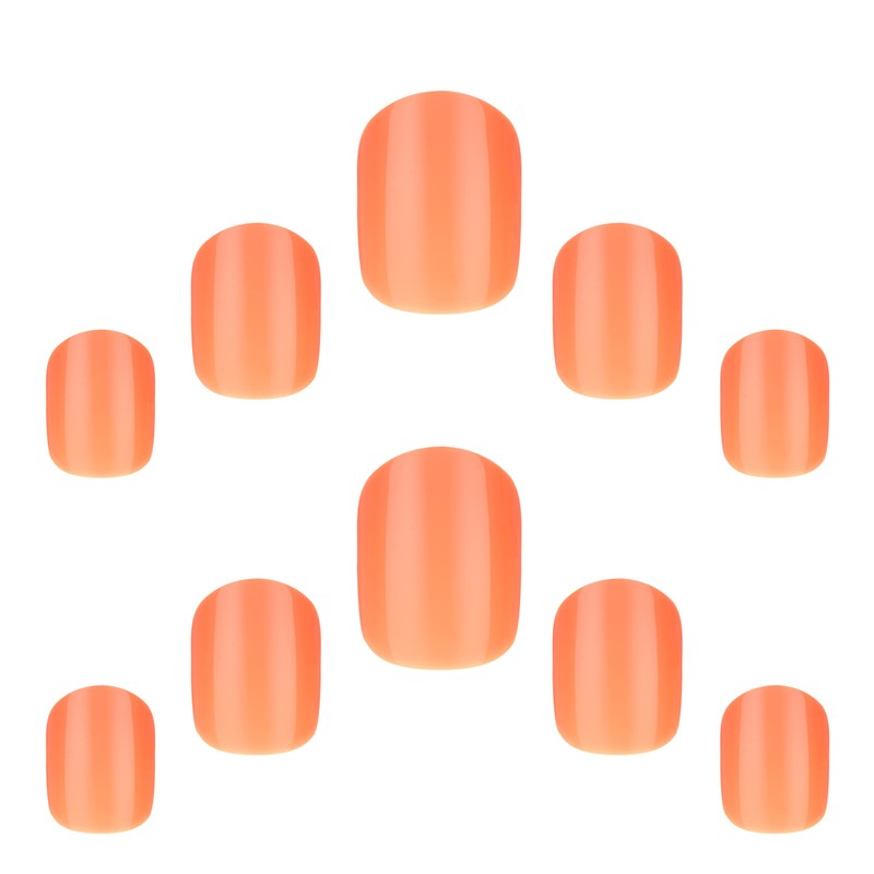 Elegant Touch Core Colour Apricot Crush