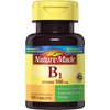Nature Made Vitamin B1, 100 Count (Pack of 6)