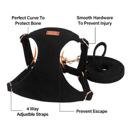 No Pull Dog Harness- Lightweight, Soft, Adjustable Small Harness Collar and Leash Set, Suitable for Cats Puppy Small and Medium-Sized Dog Outdoor Training and Running (Black, S)