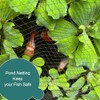 Heavy Duty Bird Netting for Garden - 13 x 40
