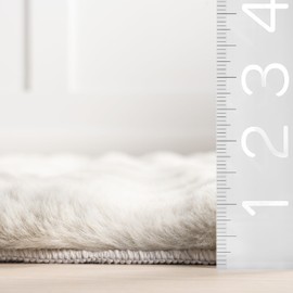 nuLOOM 4' x 6' Cozy Plush SuperiorWash Area Rug, Machine Washable, Non-Slip, Soft Fluffy Shag Carpet for Living Room Bedroom Kids Room Nursery Home Decor, Jeni Grey