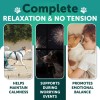 Artullano Calming Chews for Dogs Anxiety Relief Treats with Turmeric
