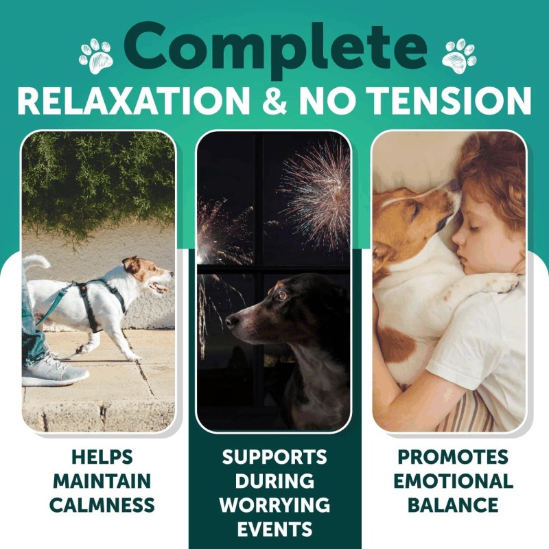Artullano Calming Chews for Dogs Anxiety Relief Treats with Turmeric