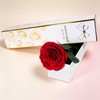 Yamonic Preserved Real Rose Gifts for Women, Single Red Rose