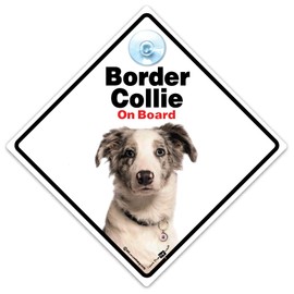 Border Collie Car Sign, Dog Car Sign, Dog On Board Sign, Collie Car Sign, Border Collie Dog Sign, Fur Baby Sign, High Visibility sign With Suction Cup to Notify of Dog in Vehicle 14 cm x 14cm x 2cm