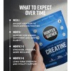 Hunter & Gather Daily Creatine Powder with Magnesium – 5g