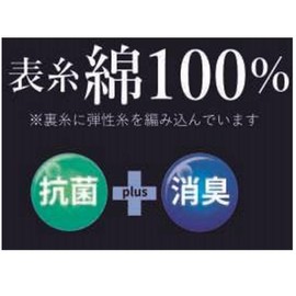 Gunze PL0125 Men's Polo Socks, Casual Rib One-Point, 5 Pairs, Black