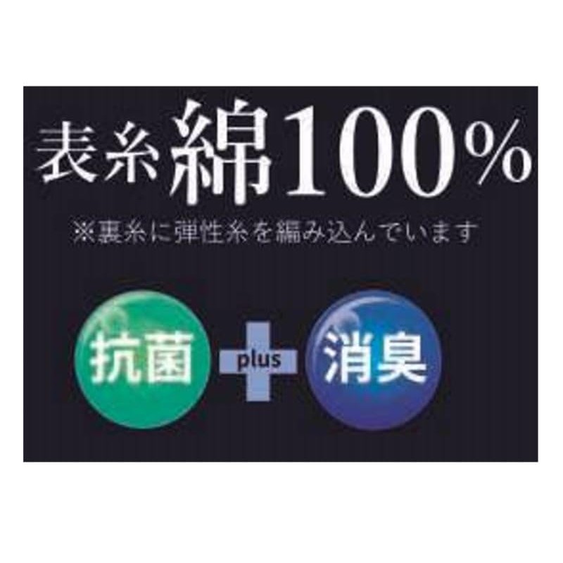 Gunze PL0125 Men's Polo Socks, Casual Rib One-Point, 5 Pairs,