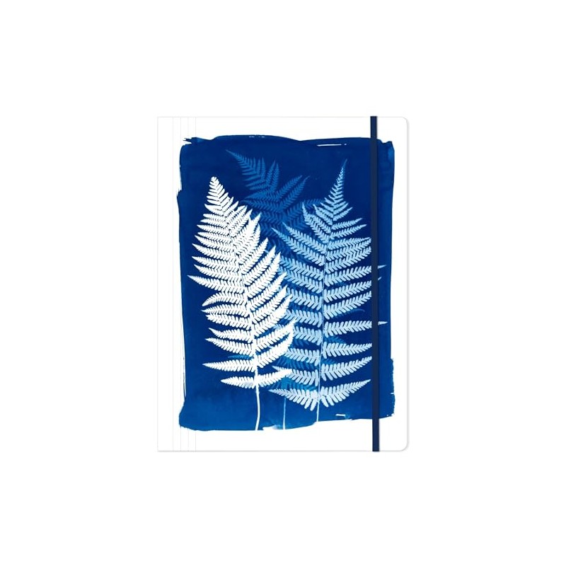Clairefontaine 83512C - Portfolio Folder with Elastic Closure 24 x