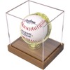 Gold Glove Baseball Display Case Holder by Display Zone –