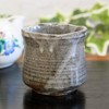 Waza no Kura Stylish Kutani Ware Teacup with Mountain Cherry