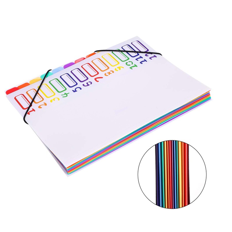 Project Folder A4 Organiser Folder 12 Compartments Desk Folder Personal