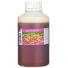 Cupcake World Intense Food Flavouring, Pistachio, 500 ml